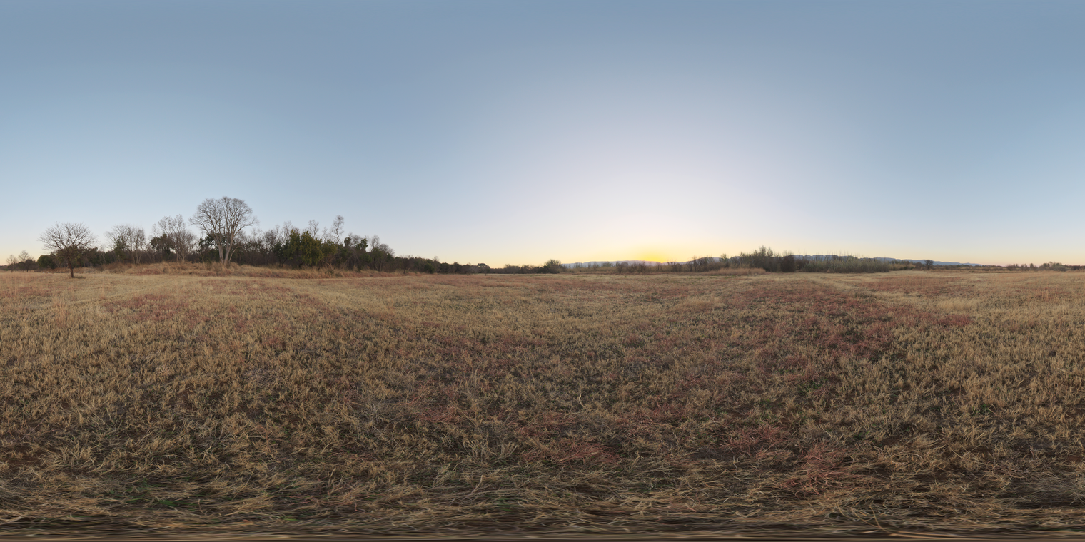 Free, unclipped 20k HDRI of a dry grassy field at sunset with soft, low-contrast warm light and a clear sky, silhouetted by bare trees on the horizon.