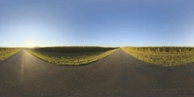 Mealie Road - Preview