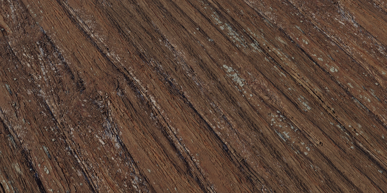 Free 8K Metasequoia bark texture with deep vertical furrows, weathered brown tones and lichen patches - versatile for realistic tree trunks in games, film, and archviz.