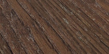 Metasequoia Bark - Preview