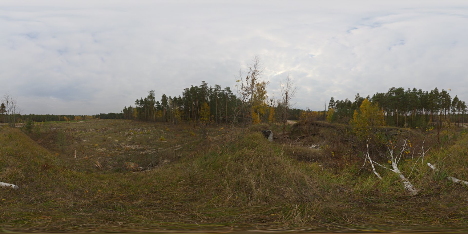 Free 16K HDRI, unclipped. Soft overcast morning light across a grassy forest clearing with cool, low-contrast natural lighting and a muted sky.