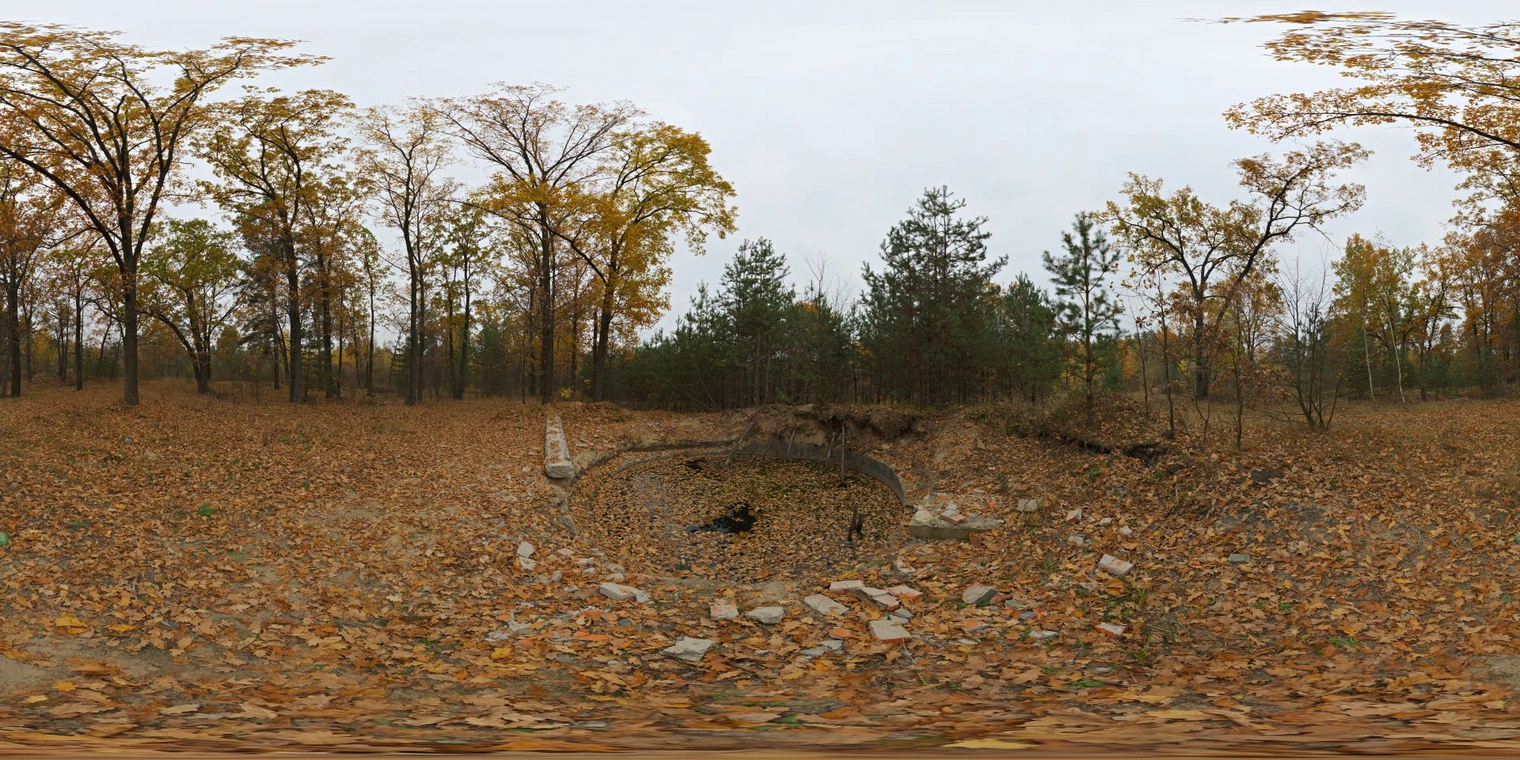 Free 16K unclipped HDRI of an overcast midday autumn forest, diffuse low-contrast light, cool grey sky, warm leaf litter and a rubble pit.