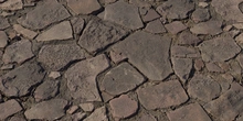 Monastery Stone Floor - Preview