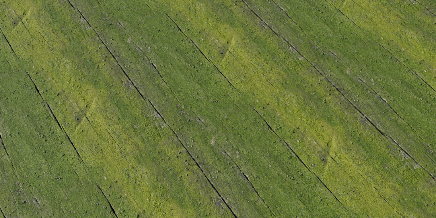 Free 8K texture of old wooden planks thickly covered in green moss, showing rough cracked grain, raised bumps and weathered surface detail.