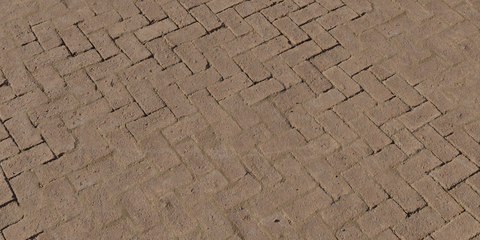 Mossy Brick Floor