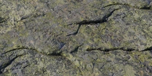 Mossy Rock - Preview