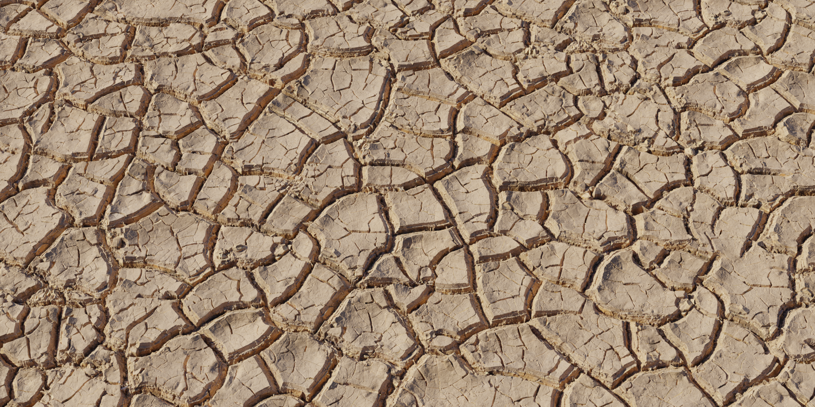 Mud Cracked Dry 03