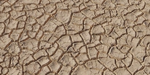 Mud Cracked Dry 03 - Preview