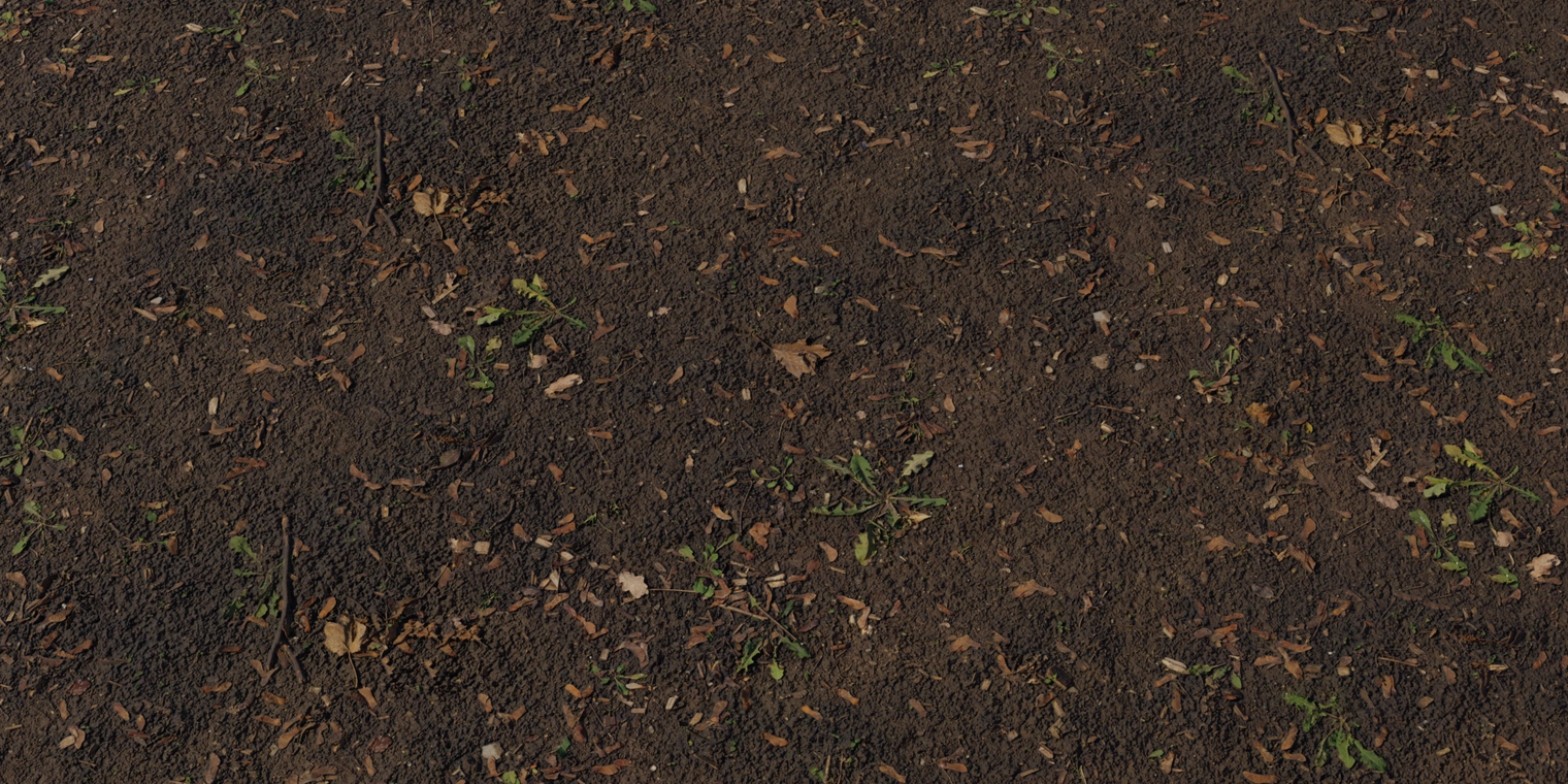 Free 8K Mud Forest texture of dark, wet forest mud with compacted soil, scattered brown leaves and sticks, subtle wet sheen and fine, rough organic debris.