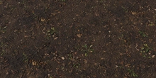 Mud Forest - Preview