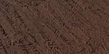 Muddy Tracks - Preview