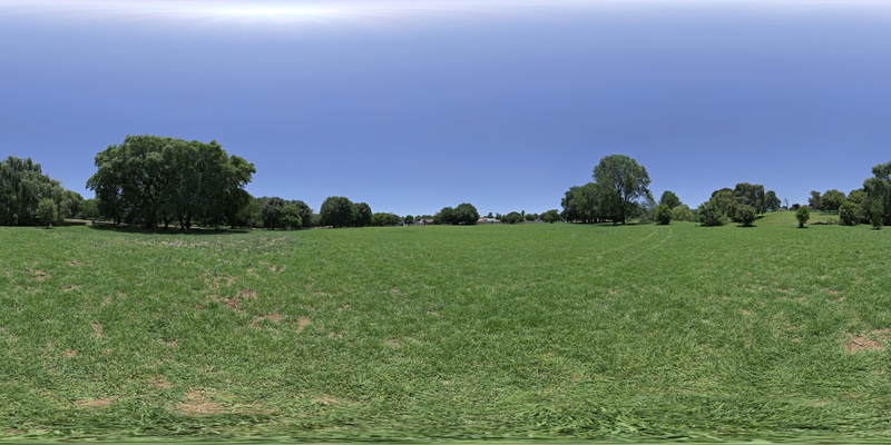 Noon Grass — free CC0 HDRI environment map