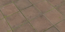 Overgrown Concrete Pavers - Preview