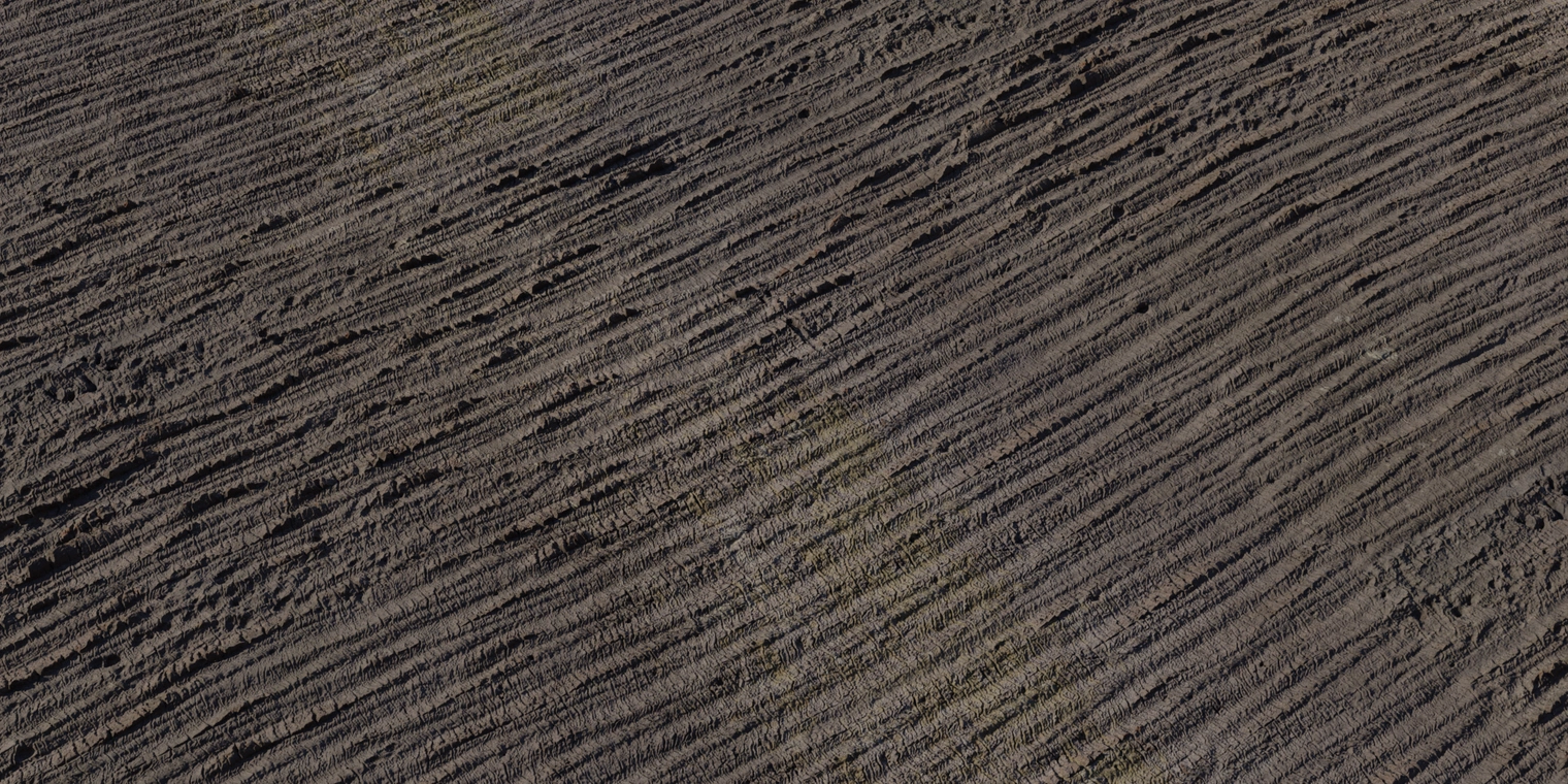 Free 8K palm bark texture: dark, fibrous, horizontally ridged surface with layered cracks and subtle mossy tones, rough weathered trunk detail.