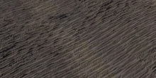 Palm Bark - Preview
