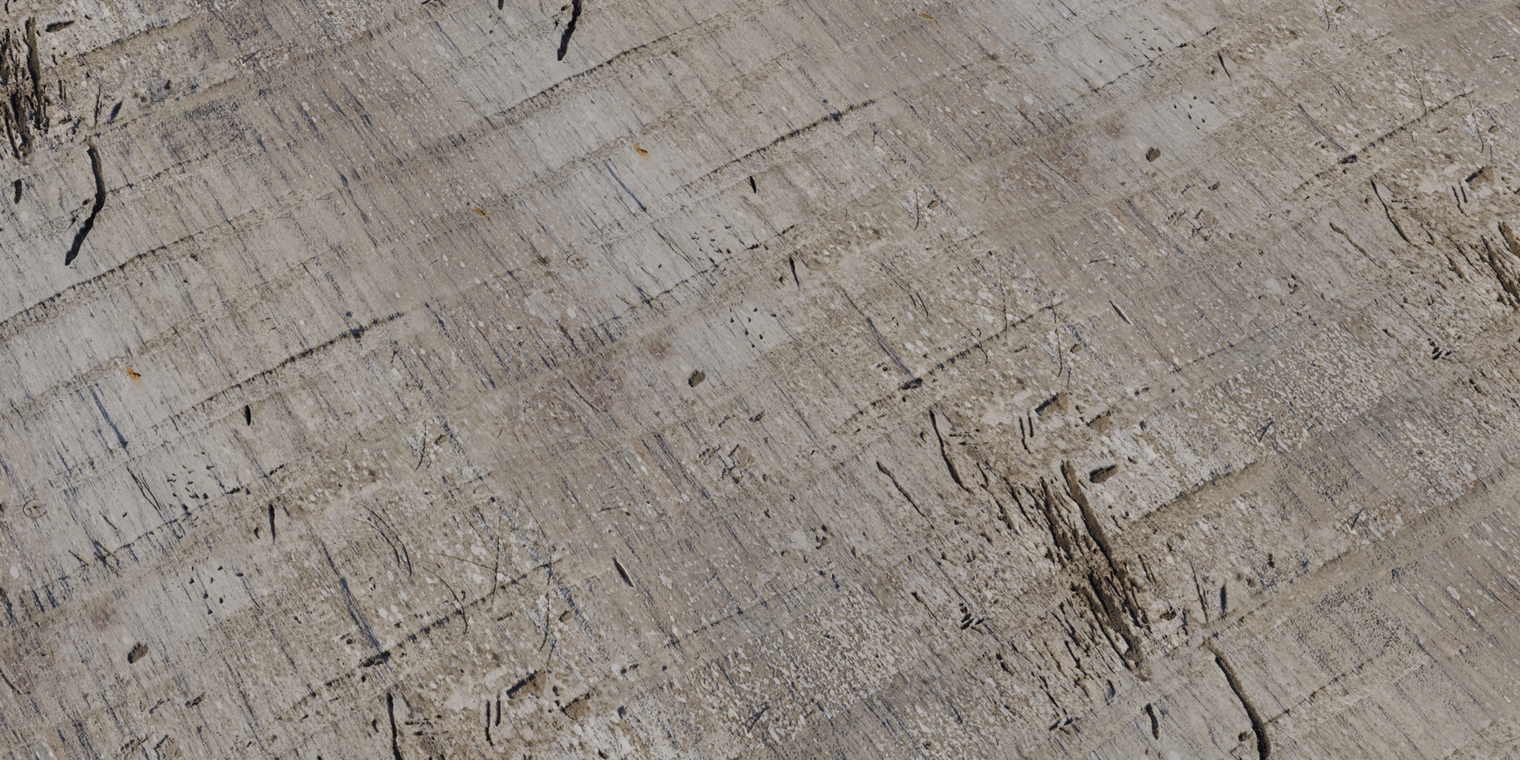 Free, 16K palm tree bark texture with sun-bleached, fibrous surface, horizontal banding, scratches, scuffs, small holes and a weathered, rough wood appearance.