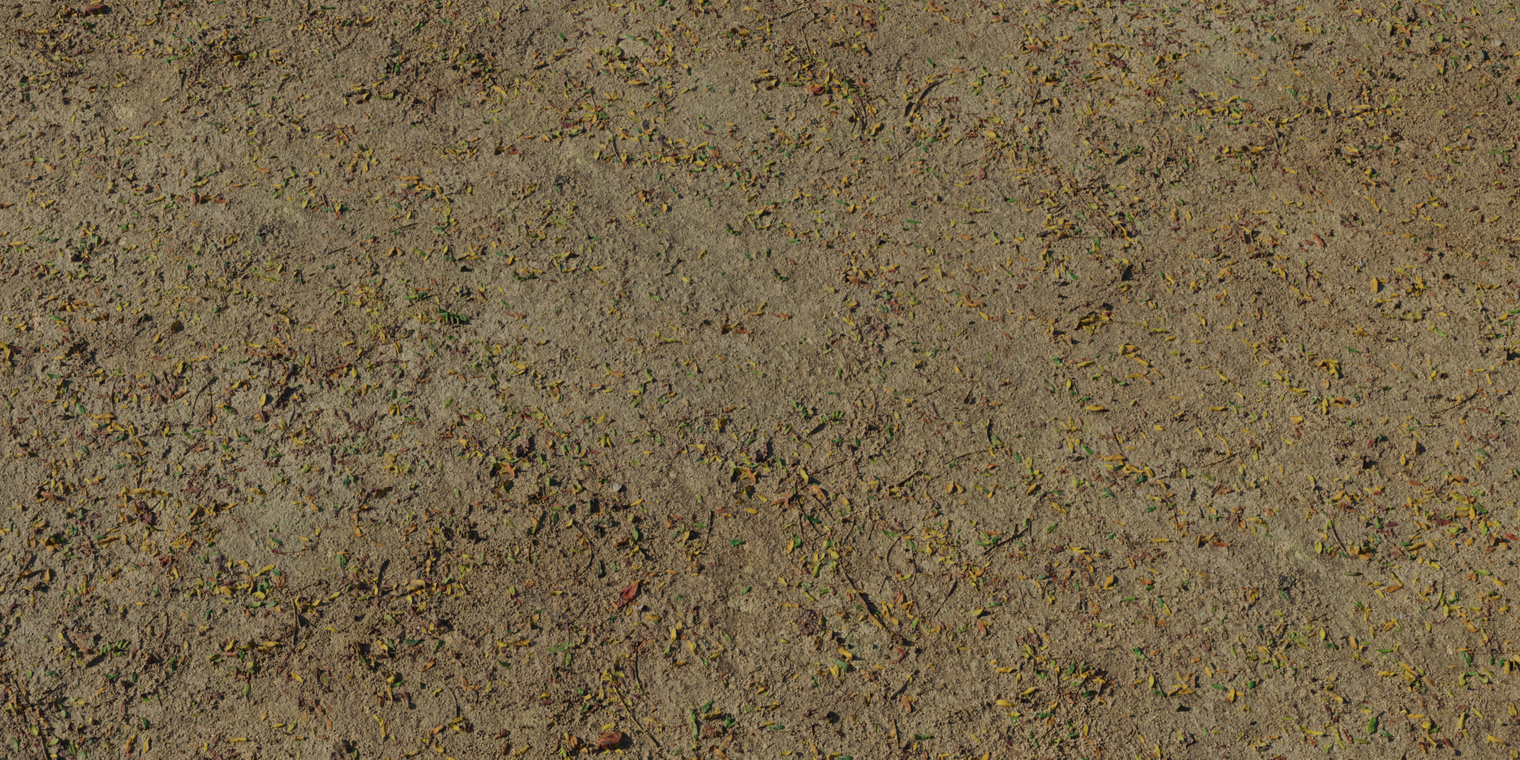 Free 8K texture of damp park dirt - compacted sandy soil with fine roughness, scattered autumn leaves, twigs, debris and moist shading.