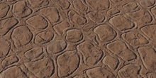 Patterned Clay Wall - Preview