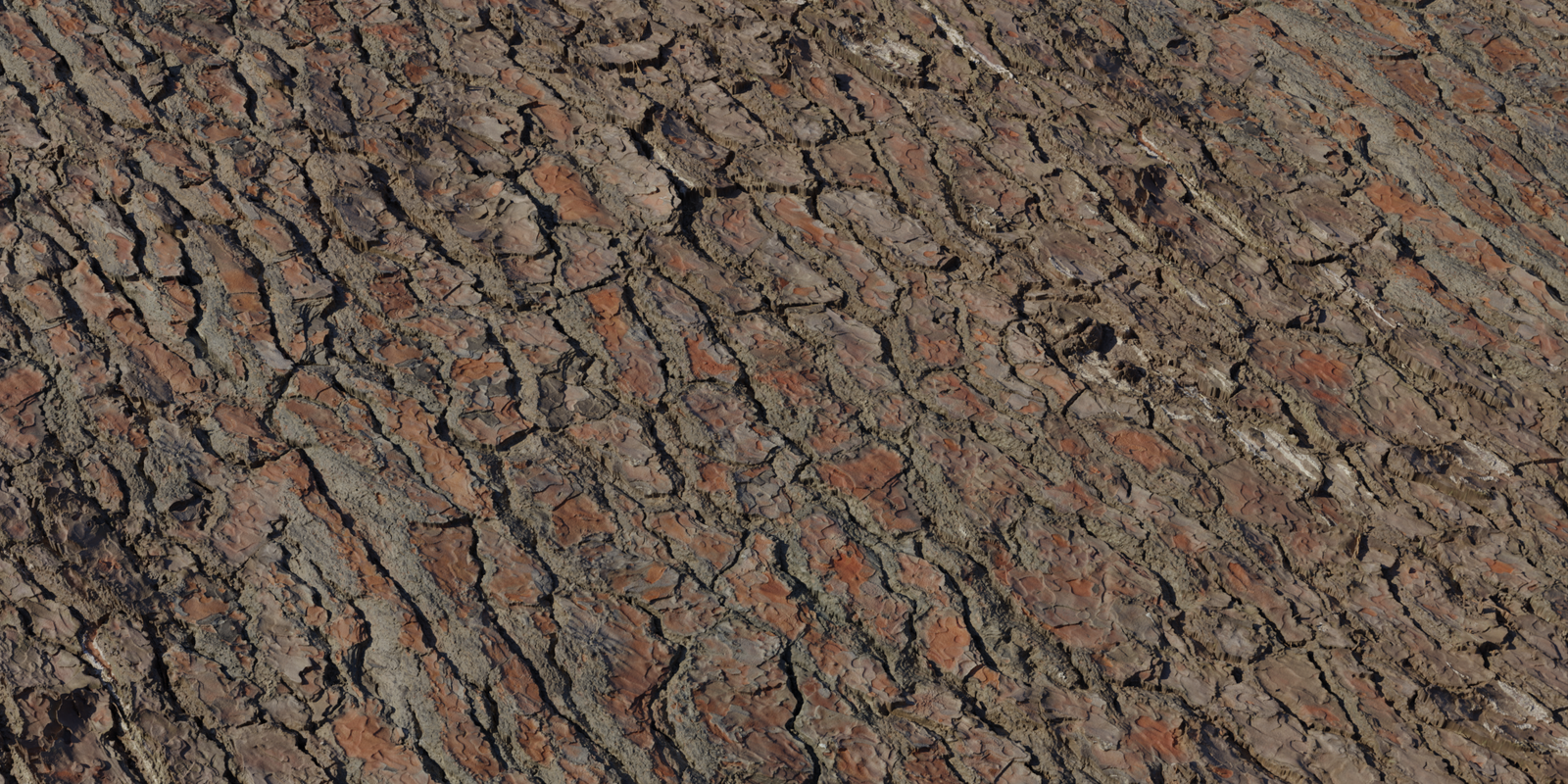 Pine Bark