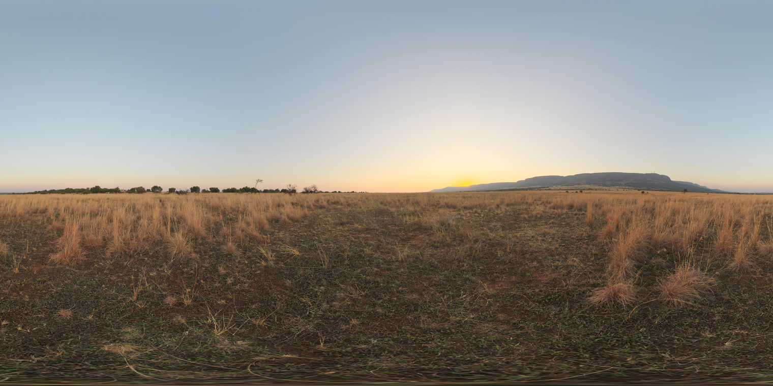 Free unclipped 20k HDRI: warm, low-contrast sunset over dry yellow grassland with soft golden key light, clear sky and gentle shadows.