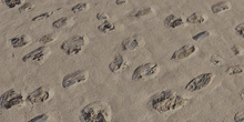 Plaster Stone Wall 01 - Preview