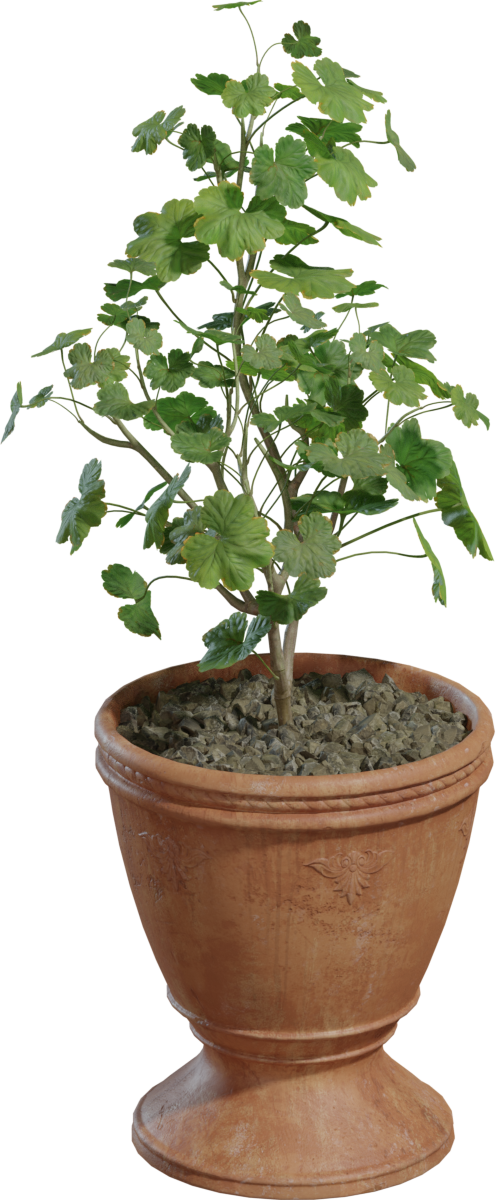 Potted Plant 01