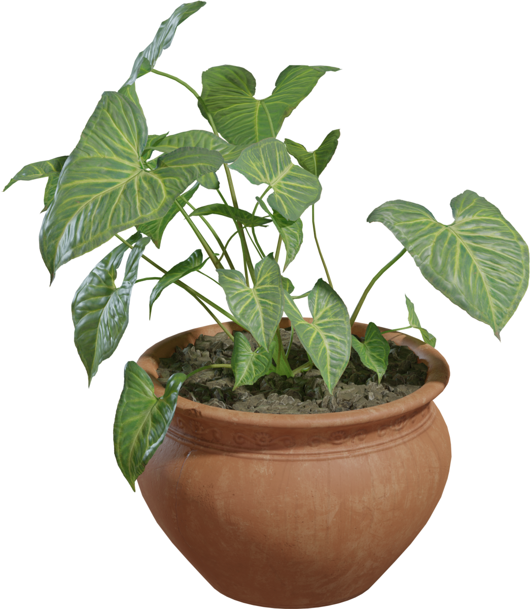 Potted Plant 02