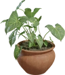 Potted Plant 02 - Preview