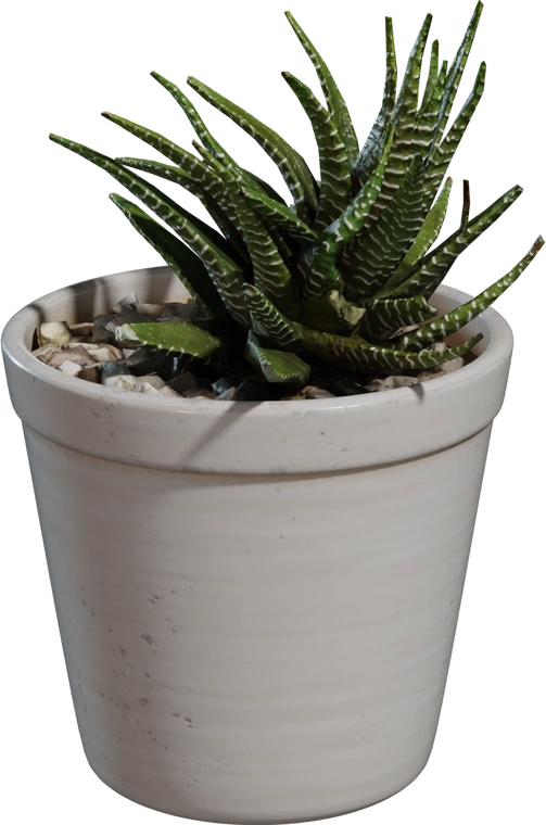 Free 8K potted succulent model - small zebra haworthia in a weathered ceramic pot. Realistic textures and natural detail; ideal for interior decor scenes.