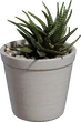Potted Plant 04 - Preview