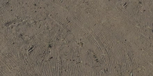 Raked Dirt - Preview