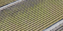 Red Slate Roof Tiles 01 - Preview