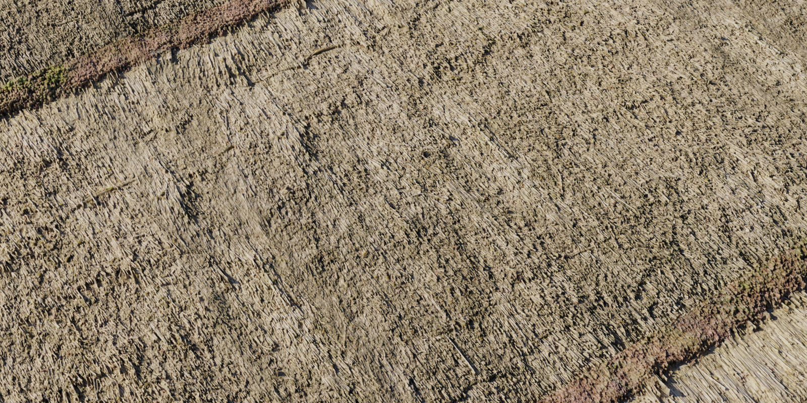 Reed Roof 04