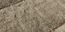 Reed Roof 04 - Preview
