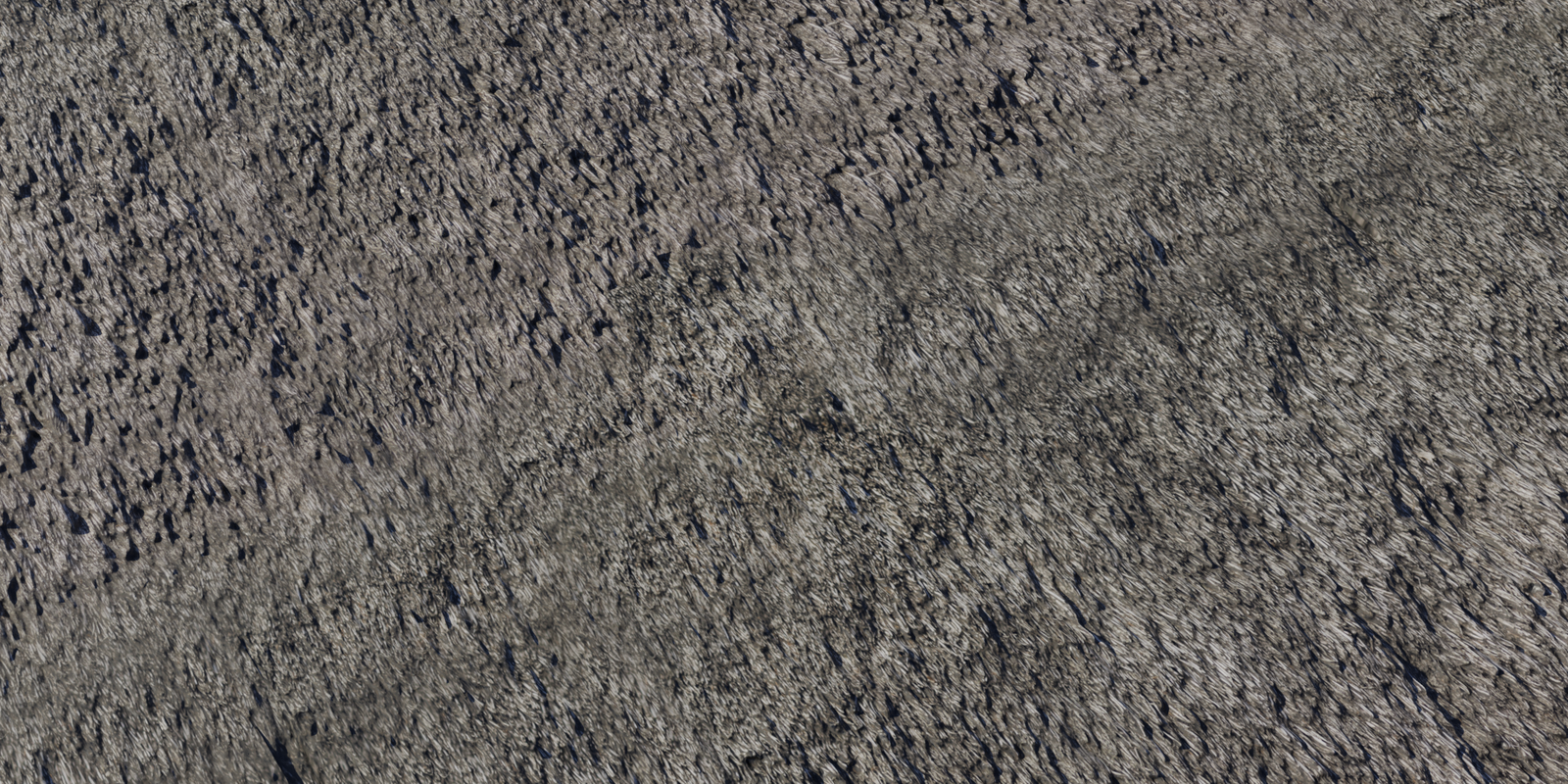 Riet 01