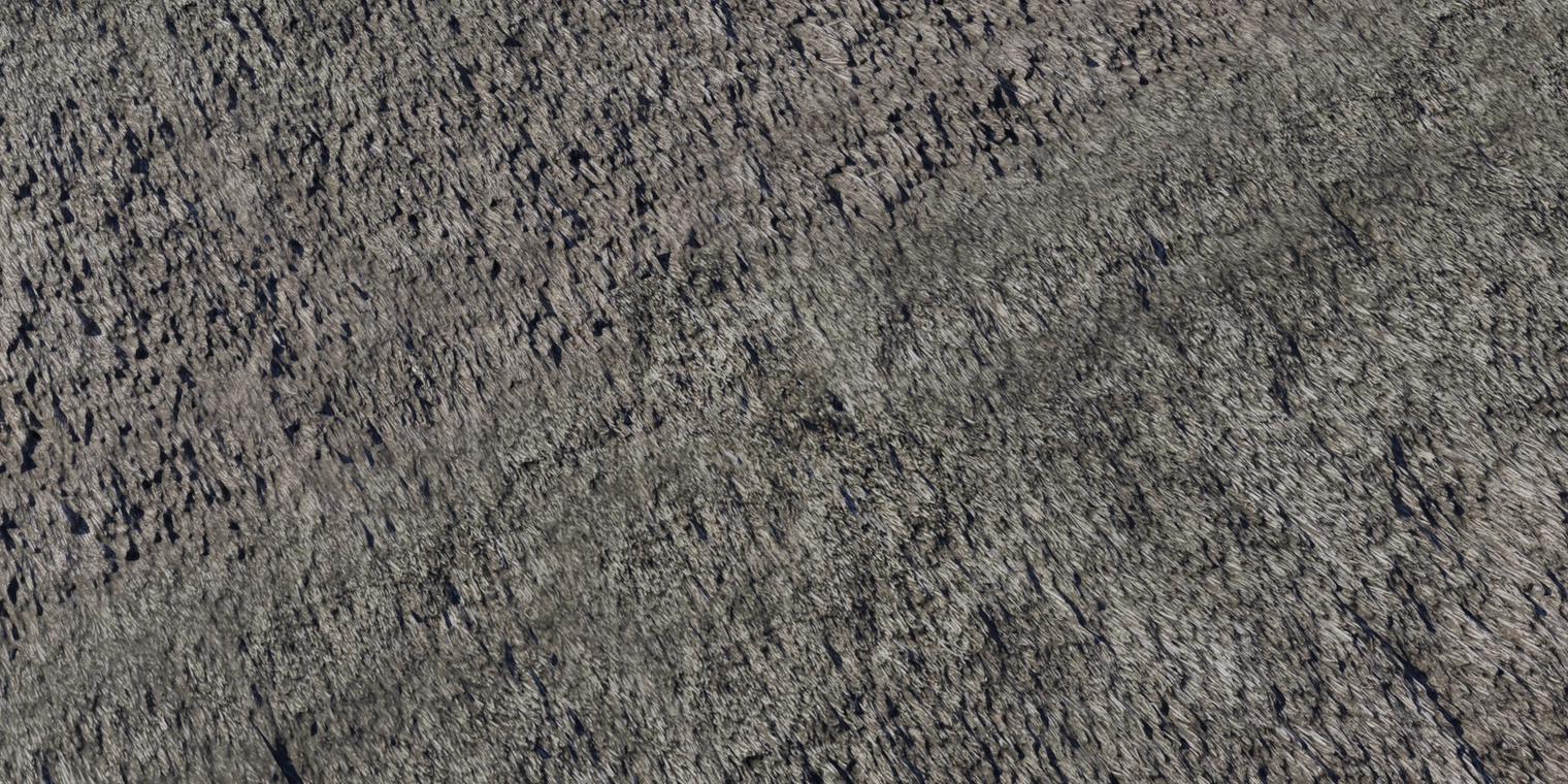 Free 8K texture of weathered grey reed thatch: coarse, fibrous straw layers with a rough, uneven surface and worn, frayed edges.