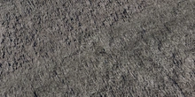Riet 01 - Preview