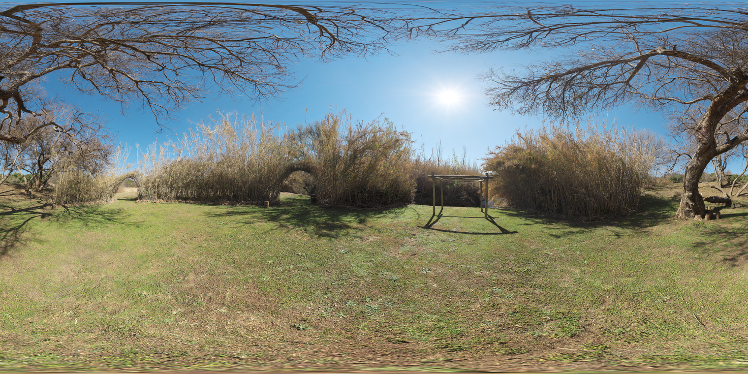 Free, unclipped 20k HDRI. Bright midday sun over a grassy riverside alcove with bare trees, a natural arch and wooden structure; crisp, clear light with strong high-contrast shadows.