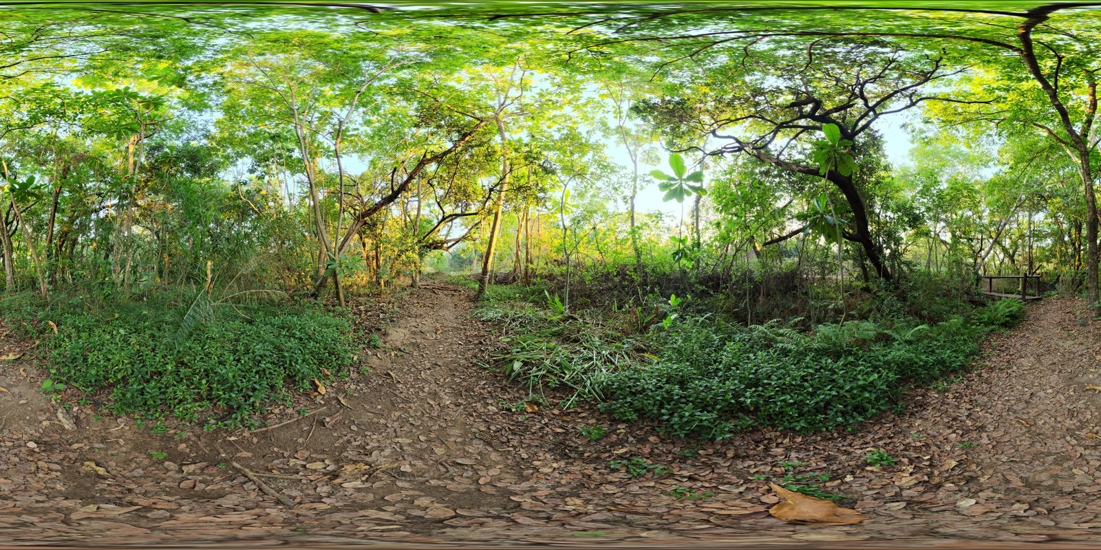 River Walk 1