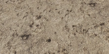 Rock 2 - Preview