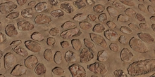 Rock Embedded Concrete Wall - Preview