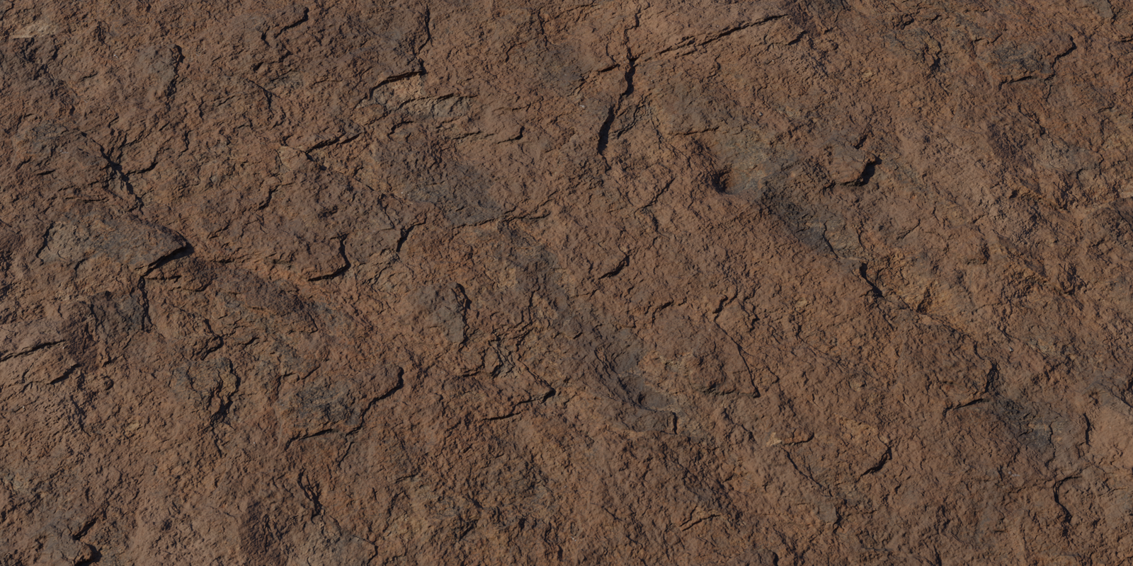 Rock Face