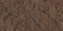 Rock Face - Preview