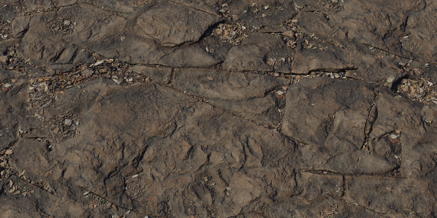 Free 8K rock face texture with dark, weathered slabs, deep fractured seams, and leaf litter in crevices. Rough, earthy tones with subtle sheen.