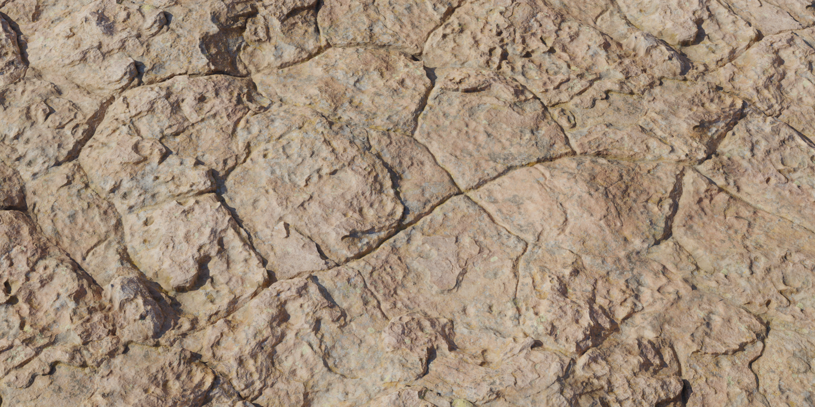 Rock Pitted Mossy