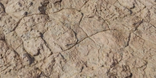Rock Pitted Mossy - Preview