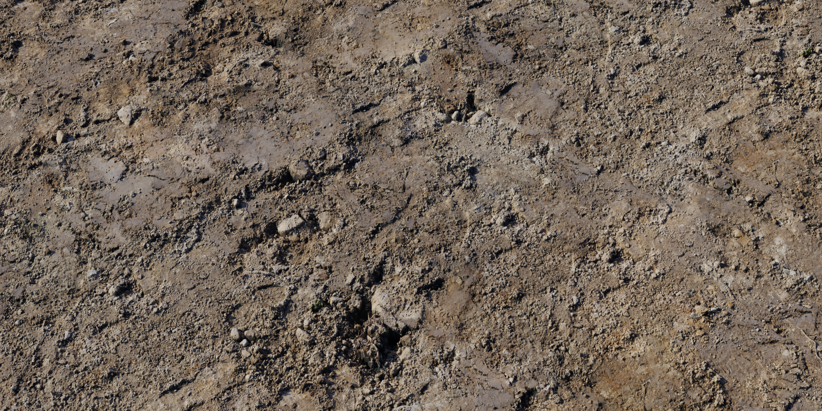 Rocks Ground 08