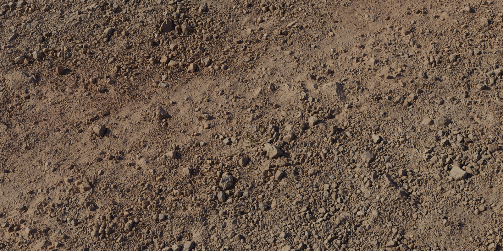 Rocky Trail 02