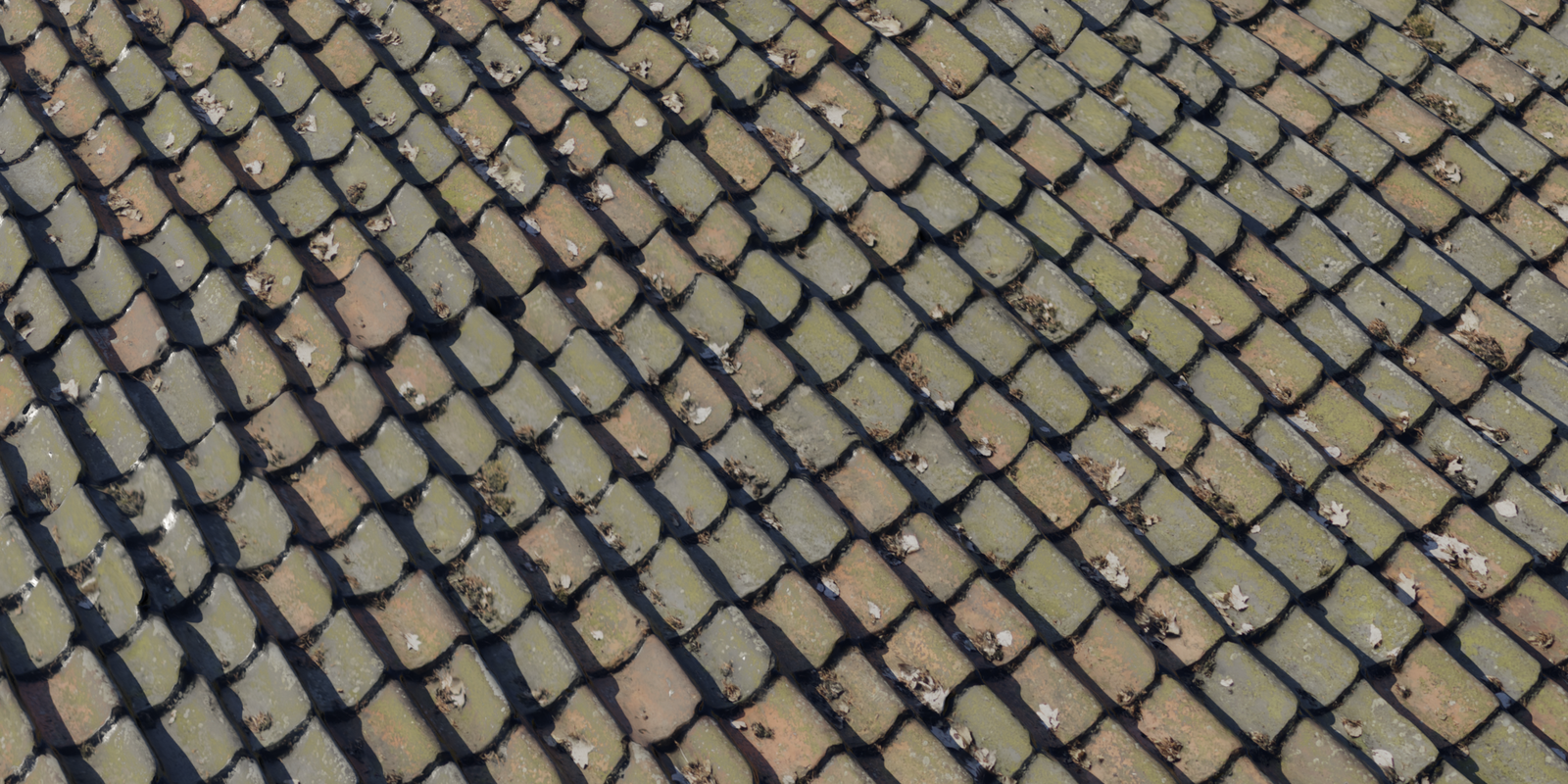 Roof 07