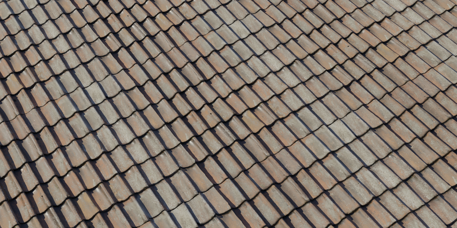 Roof 09